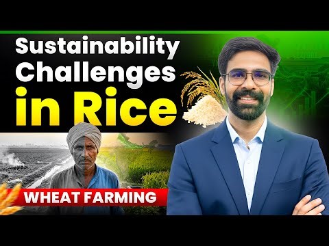 Rice–Wheat Cropping System in India | Sustainability Challenges, Causes & Solutions