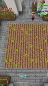 vinesmaxxing guide (Hypixel Skyblock)