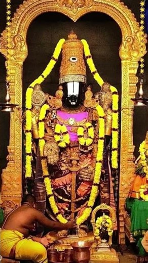 🌺 ஸ்ரீ வெங்கடேசாய நமஃ 🌺 #tirumala #tirupatibalaji #govinda #balaji #venkateswara #shorts #ytshorts