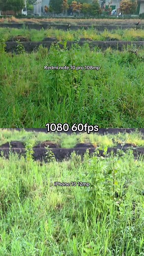 Android nya cuma kalah stabil aja kok #cameracomparison #ip13 #redminote10pro
