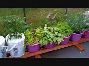 How To Build The Self Watering Rain Gutter Grow System! (101)