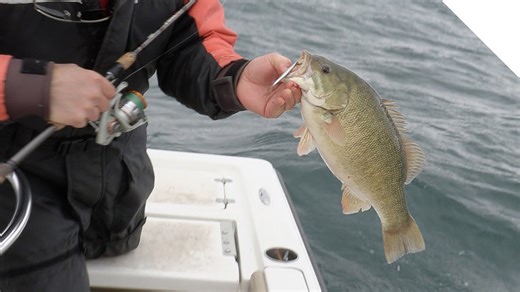 Windy Smallmouth Bass
