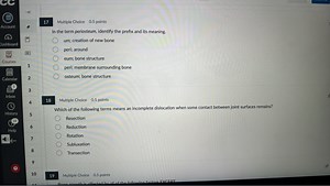 In the term periosteum, identify the prefix and its meaning.u... | Filo