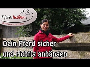 So hängst du dein Pferd sicher und richtig an Teil 1