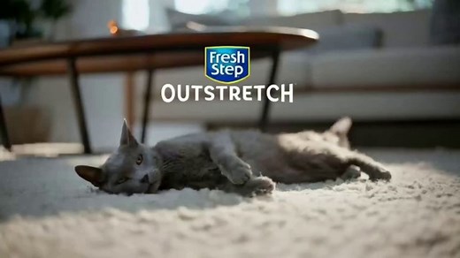 Fresh Step Outstretch TV Spot, 'Be More Like Your Cat'