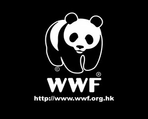 WWF Advert - Original Soundtrack