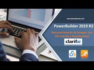 Reconocimiento de imágenes en PowerBuilder con API Clarifai y SnapDevelop