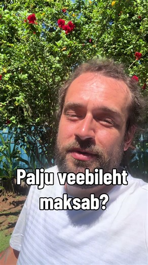 Veebilehe hind ei sõltu lihtsalt sellest, et “on vaja kodulehte”, vaid sellest, mida see veeb tegelikult tegema peab. Onepager, ettevõtte koduleht, e-pood, broneerimissüsteem või suurem platvorm on kõik täiesti erineva töömahuga lahendused ja seetõttu ka erineva hinnaga. Hinda mõjutavad näiteks: • lehtede arv • disaini erilahendused või valmisteema kasutamine • funktsionaalsused (kontaktvormid, broneerimine, e-pood, kasutajakontod, makselahendused jne) • sisu sisestamise maht • keeleversioonid •