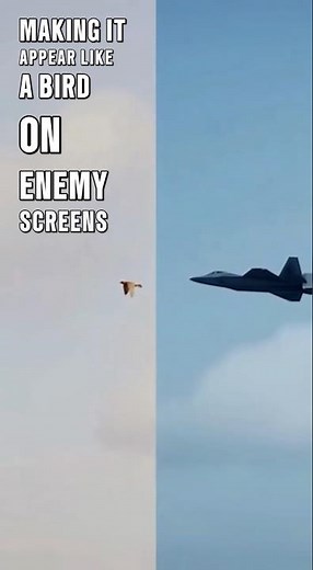 Why Radar Sees It as a Bird #shortvideo #shorts #aviation #fighterjet #militaryaircraft