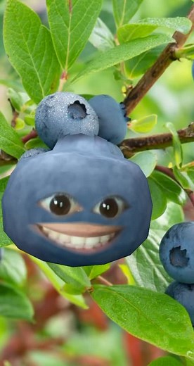 TERRYLOVELY on TikTok