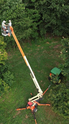 The American Chestnut Foundation is committed to bringing this iconic species back through a state-of-the-art breeding program: recurrent genomic selection (RGS). While continuing to cross American chestnuts with blight-resistant Asian varieties, TACF will now utilize genomic testing to select progeny with increased blight resistance while preserving 70% – 100% of the tree’s American heritage. This method will allow TACF to more quickly and accurately predict which seedlings are most likely to s
