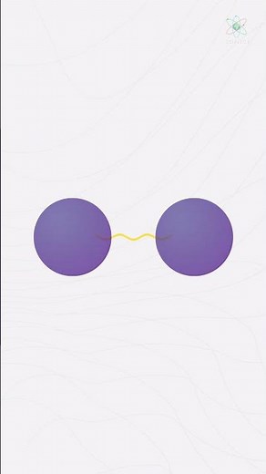 Newton's Law of Gravity #science #animation #physics