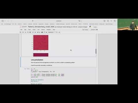 1.8 Pattern formation - Turing instability