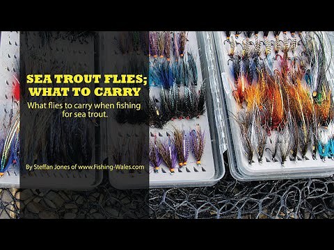 Sea Trout Fishing Flies; What Flies to Carry by Steffan Jones