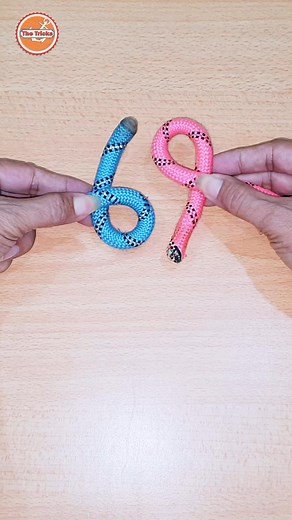 Rope Knot guide 💡 Quick step by step method #knots #reels #trending #trend #viral #diy #reelsfb #reelsviral #reelsvideo #howto #reelsinstagram #creative #craft #viralvideo #viralreels #trendingreels #trendingnow #video | The Tricks