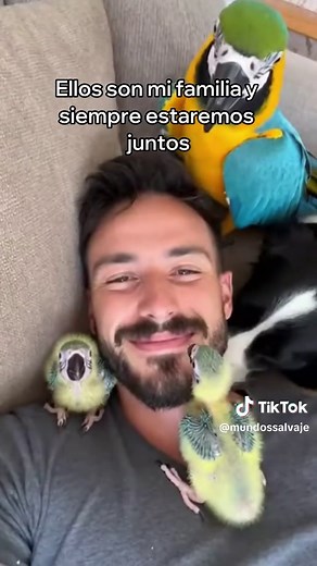 Guacamaya Rescatada: Historia Real en Mundos Salvajes