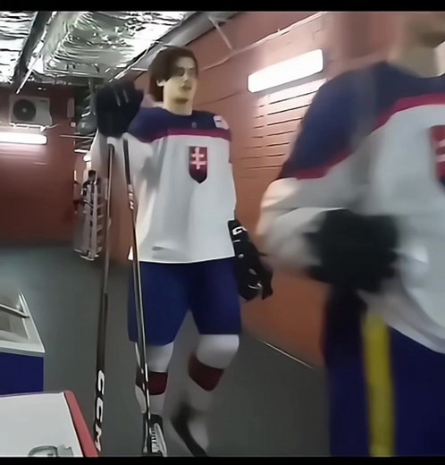 Michal Mrazik Ice Hockey Highlights and Edits