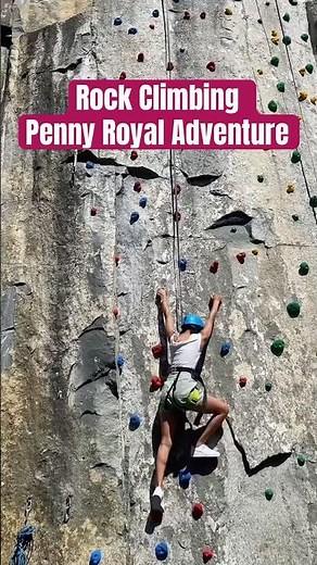 Ziplining, Rock Climbing & Non-Stop Fun in Tasmania! 🇦🇺| Hobart Tasmania