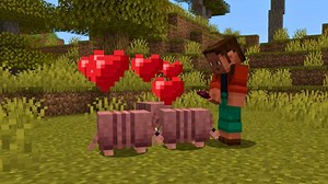 How to breed Armadillo in Minecraft