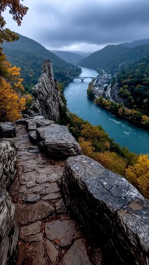 745K views · 29K reactions | God’s creation | david port | Facebook