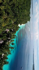 55 reactions | Mentawai's original resort, since 1998. | WavePark Resort Mentawai | Facebook