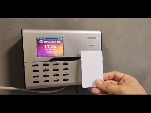 TimeClock 365 - what is it ?