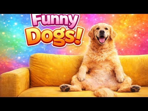 Dogs doing human-like actions! #Dogs #FunnyAnimals #PetVideos #Animals #FunnyDogs #DogsActingHuman