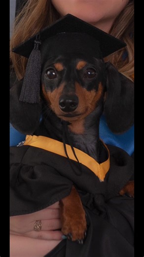 Mom and Mini Dachshund Achieve Masters Together