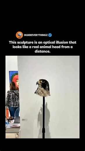 Explore l Learn l Facts | This fascinating sculpture is crafted to create an optical illusion — from a distance, it appears to be a lifelike animal head, but up... | Instagram