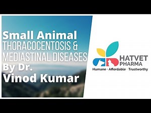 Thoracocentesis & Mediastinal Diseases In Dogs & Cats By Dr. Vinod Kumar