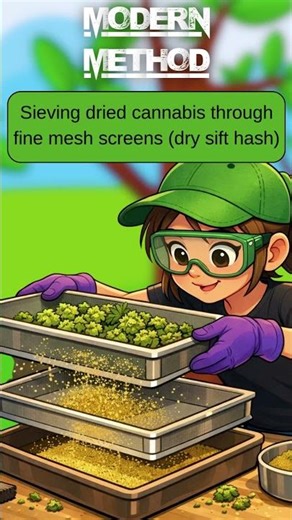 What is hash? 🤔#shorts #cannabiscommunity #cannabiseducation