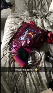 160K views · 2.6K reactions | #StmmSnapVlogs GET OUT !!  we had a mouse in the house the other day Here's the whole story ! It's a long one. Contains Strong Language  Add Snapchat - STMM  | StevoTheMadMan | Facebook