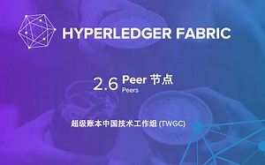 Hyperledger Fabric —— 2.6 节点 #By TWGC（超级账本中国技术工作组）