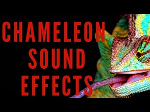 CHAMELEON SOUND EFFECTS