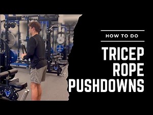 Tricep Rope Pushdowns (Exercise Library)
