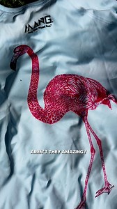 Free Sticker with code: STICKWITHMANG When you wear MANG®, you join a movement of people who are banded together to protect, preserve, and restore our ecosystems. For every product sold, a mangrove is planted in your honor. Look Good, Feel Good, and Do Good with MANG.🌊🌱 | MANG