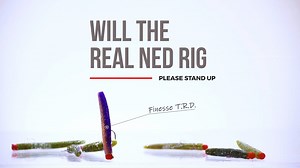 55K views · 3.2K reactions | If it’s not ElaZtech it’s not a real Ned Rig! | Z-Man Fishing Products | Facebook