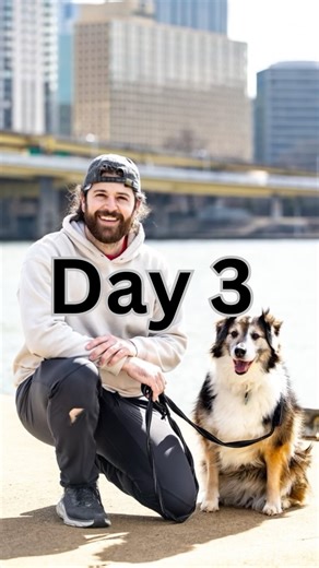 Day 3. Introduction to No, and leash pressure. (Add questions below ⬇️) Today we are going to build on the command place, but learn the value of pressure on, and off, with the timing of the word no. This will work identically as the word yes. When you are saying the word no, mean it. This doesn’t mean you are going to shout like a drill Sargent, but don’t be weak, as your energy matters. When you say your word no, try and be still, just like when saying yes. Allow your dog to hear the word witho