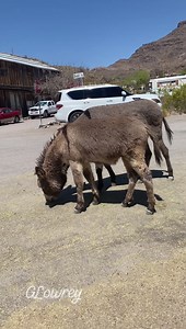 16M views · 36K reactions | “She’s So Beautiful Sunday” ❤️❤️ Sir...