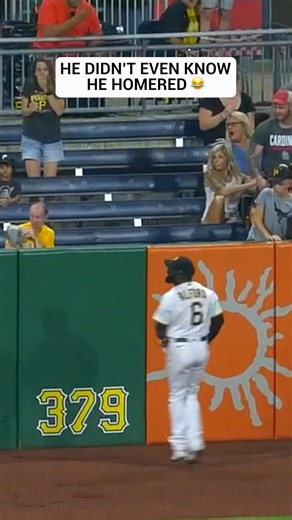 1.3M views · 7.9K reactions | Gotta be the most casual home run reaction ever 藍 #STLCardinals #MLB | FanDuel Sports Network Midwest | Facebook