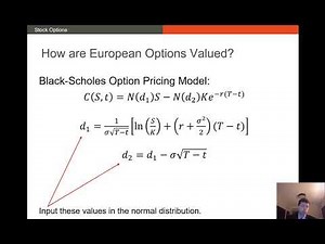 Option Valuation