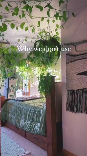 We’ve found that plants themselves do a much better job humidifying than actual humidifiers 🪴 The better solution for plants that need super high humidity is typically grow cabinets, where their humidity can be enclosed and contained. Do you use humidifiers with your plants? 🌿 @joy.of.plants.shop . . #plantcare #plantcaretips #plantdecor #plantdesign #indoorjungle #urbanjungle #joyofplantsshop