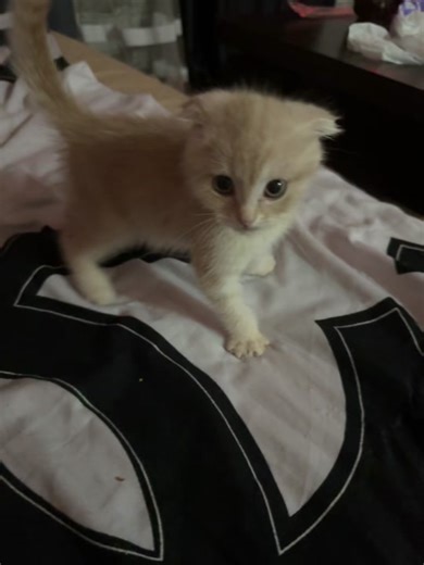 #еслинезалетитудалю👌 #рекииииииииииииииииииииииииииииииииии