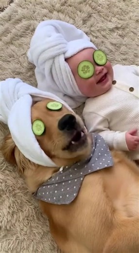 Baby and Dog lying side by side, cucumber on eyes relaxing. Dog eats its cucumber then licks Baby's face. 💆‍♂️😋 #spaday #cucumber #funny | Lietuviškos fonogramos