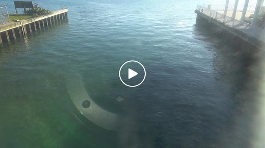 Manatee Lagoon Cam