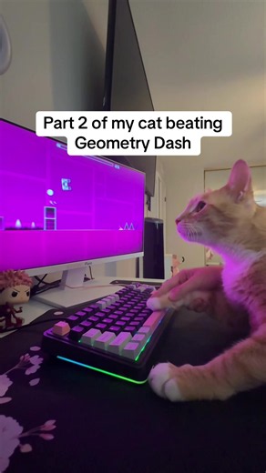 This was too easy for him #geometrydash #catplaying #ysaorin #keyboardasmr #cutecatvideo