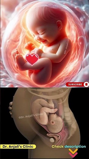 Tiny Kicks & Adorable Twists: Your Baby’s Moves in the Womb! Pregnancy Guide #baby #pregnant #health