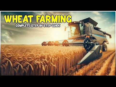 Wheat Farming: A Step-by-Step Cultivation Guide