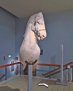 40K views · 2.5K reactions |  Discover the 11 ways you can...