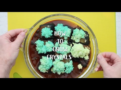 How to Grow Crystals an artsy home science project Full Length Tutorial